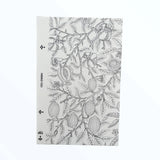 Lámina protectora Lensun Film PPDA Deluxe con diseño de frutas en color oscuro.